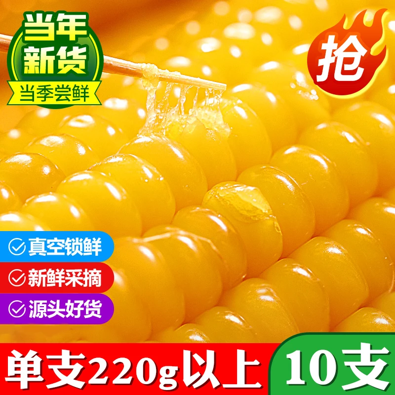 【黄金糯九】东北新鲜采摘软糯黄糯玉米真空包装整箱2200g以上*10支