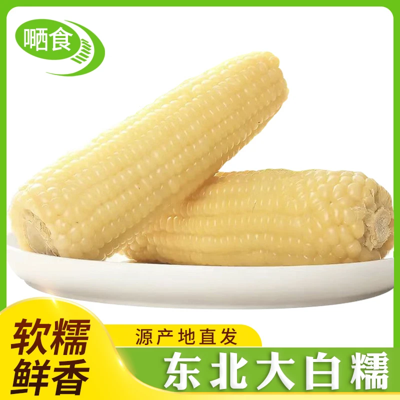 东北新鲜采摘粘糯白玉米香甜软糯白糯玉米220g～260g真空包装10支