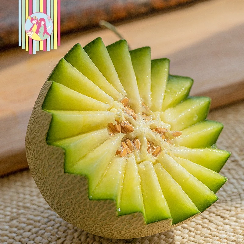 金汐佳汐海阳网纹瓜（鲁厚甜1号）3-5斤 软糯香甜2颗彩箱顺丰包邮