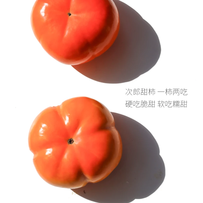 金汐佳汐次郎吉柿（软硬两吃）新鲜甜脆柿子烟台产 4-5斤 彩箱顺丰