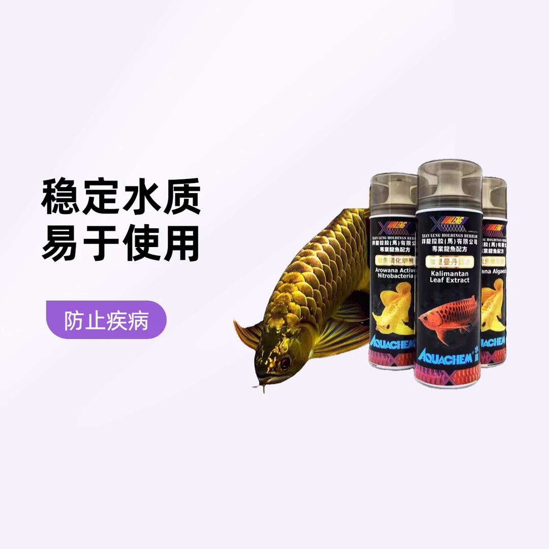 龙鱼观赏鱼万能水