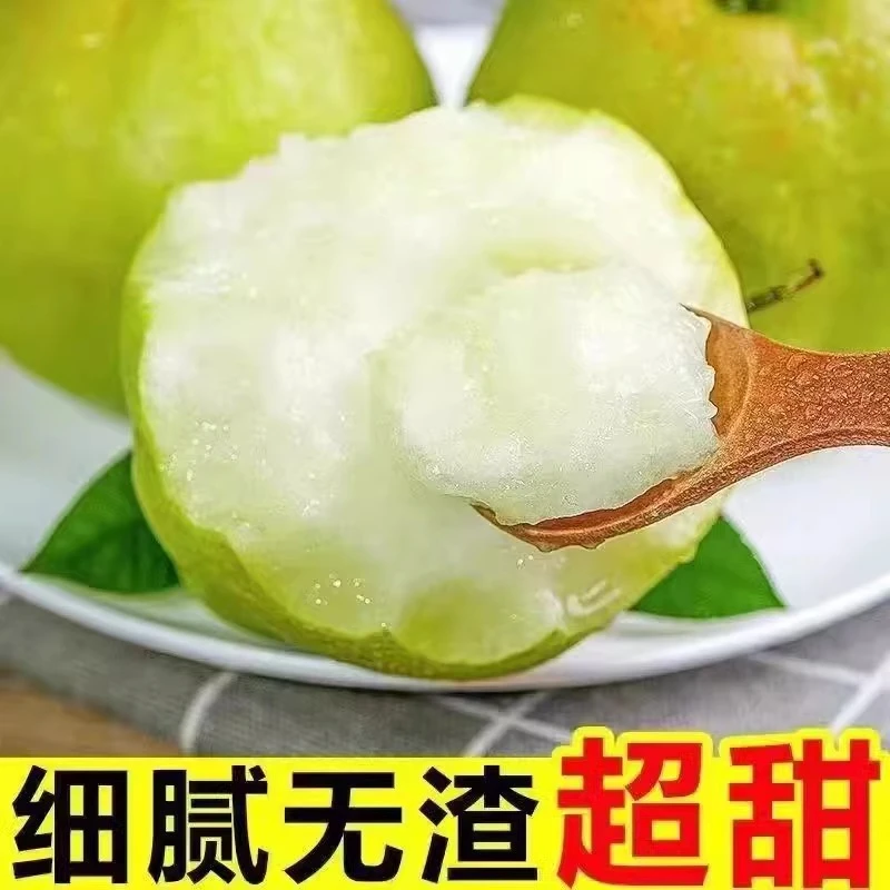 山西丹霞红梨整箱包邮新鲜梨子水果脆甜多汁现摘现发