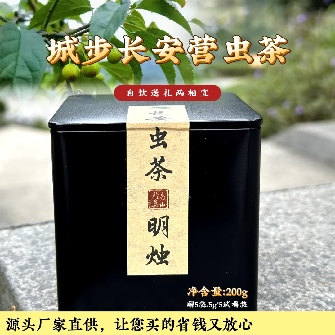 单品【明烛200g】湖南城步长安营虫茶 龙珠茶 虫茶高山醇香甄选源头