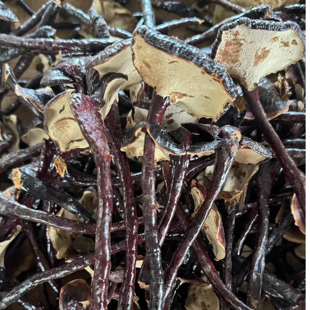 【肥妹妹精选】野生深山采摘 黑之菇 可煲水煲汤50g