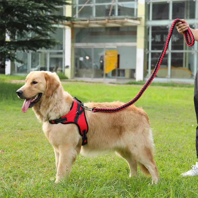 专用狗牵引绳子遛狗项圈大中型犬可伸缩背心式胸带毛边牧狗链子