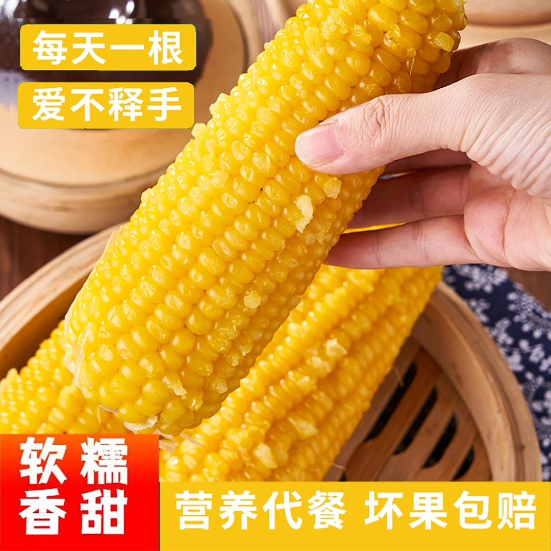【胖墩墩】2023头茬东北黄糯玉米软糯香甜真空包装10支/2600g甜糯