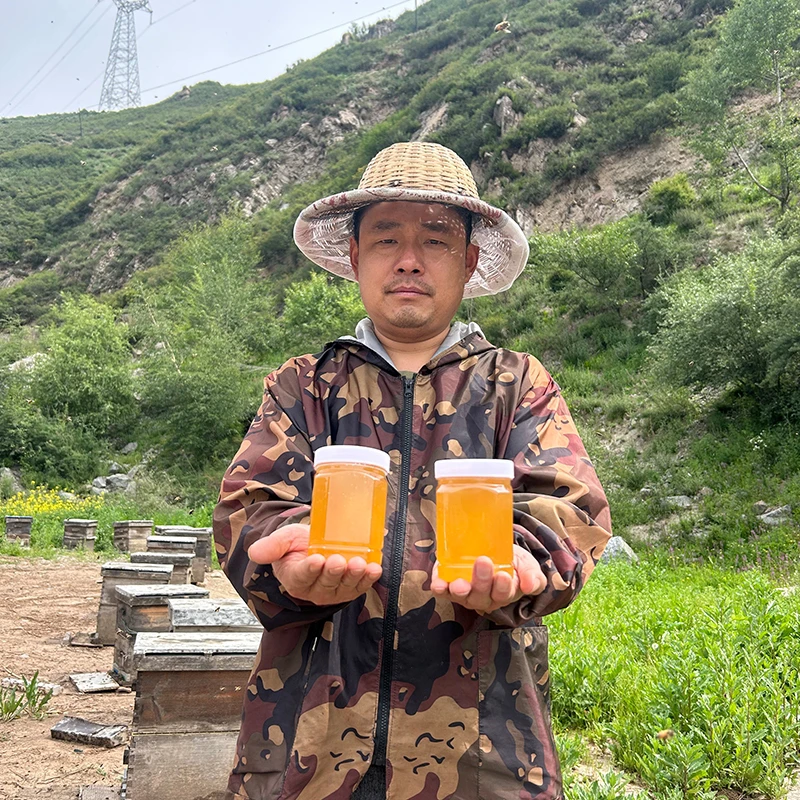 野生黄连蜜天然蜜源纯正成熟蜜祁连山高海拔无污染蜜源蜂场直发