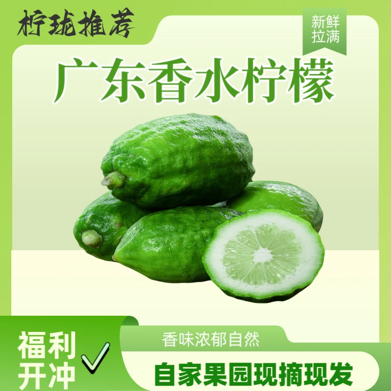 【现摘现发】广东香水柠檬新鲜香柠檬暴打鸭屎香精选奶茶店专用新鲜