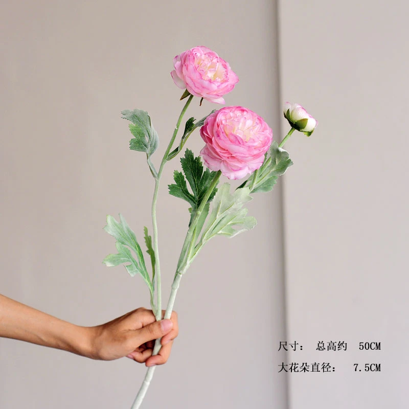 露莲1支（颜色随机）
