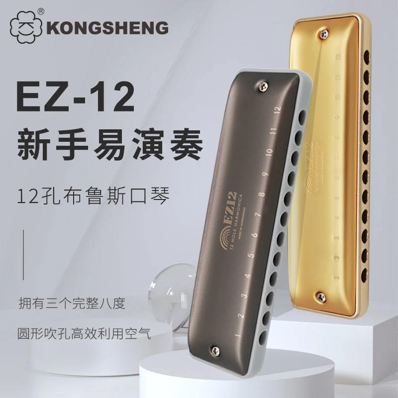 孔声12孔全音阶布鲁斯口琴初学者爱好者专业演奏蓝调口琴