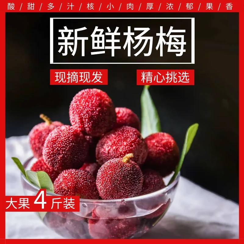 新鲜杨梅(台梅)现采现发顺丰包邮优选原生态饱满原产酸甜自然多汁