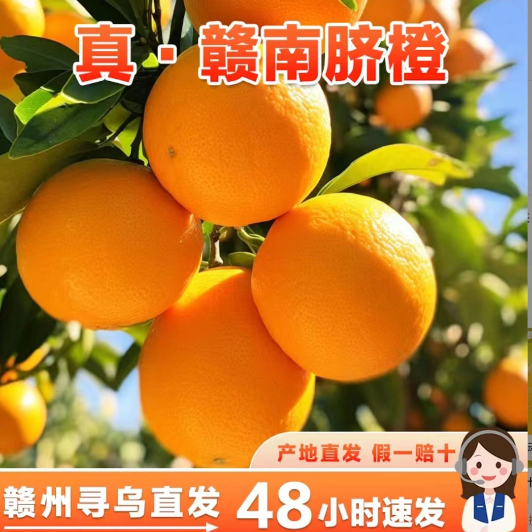 正宗赣南脐橙头茬新果产地现摘现发 5/10斤装高山超甜脐橙