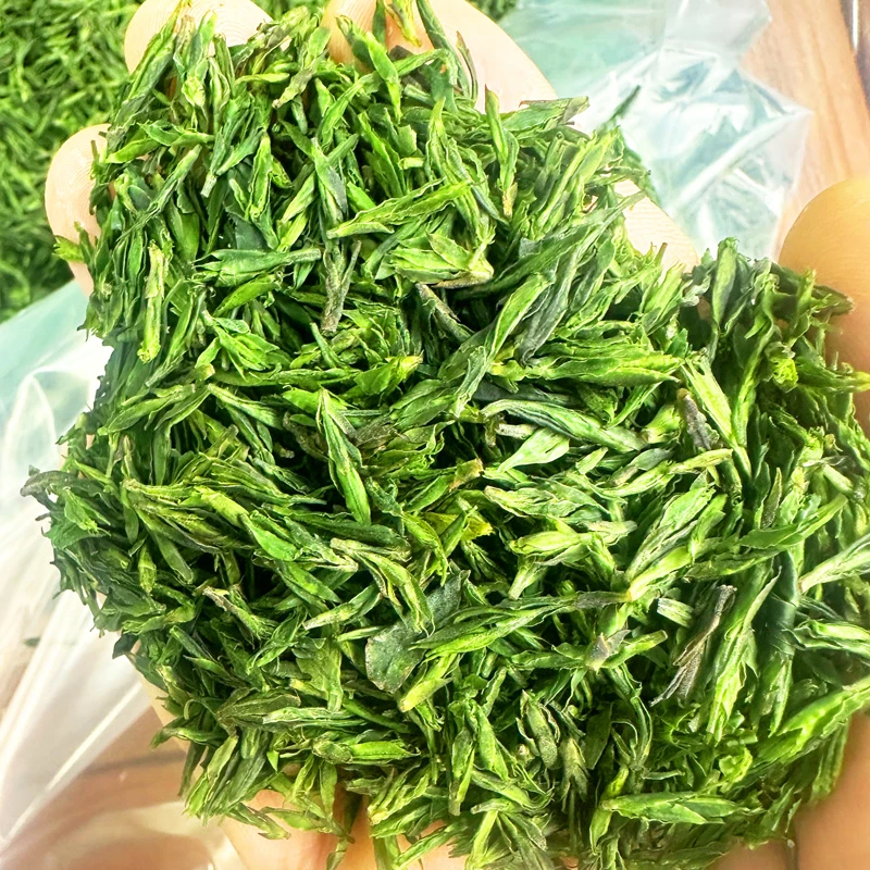 2025年新茶叶贵州余庆特产小叶苦丁茶明前青山绿水茶嫩芽散装100g