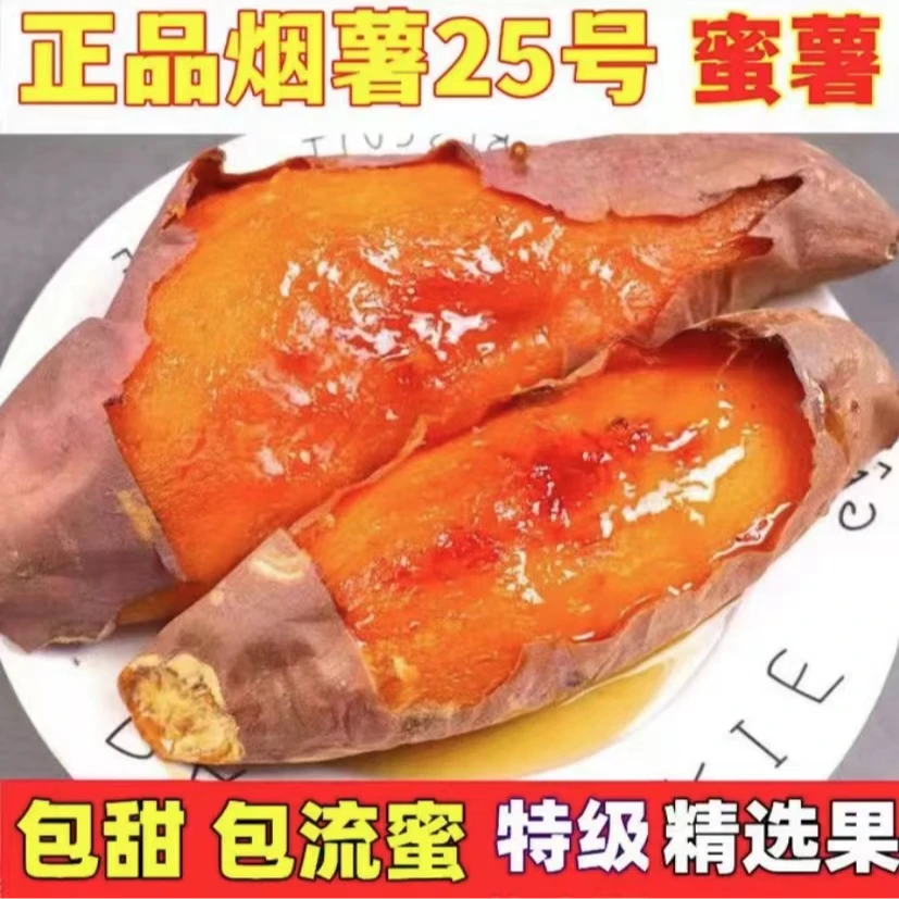 山东烟薯25号糖心烤地瓜红薯软糯蜜甜流油5斤装农家沙地番薯
