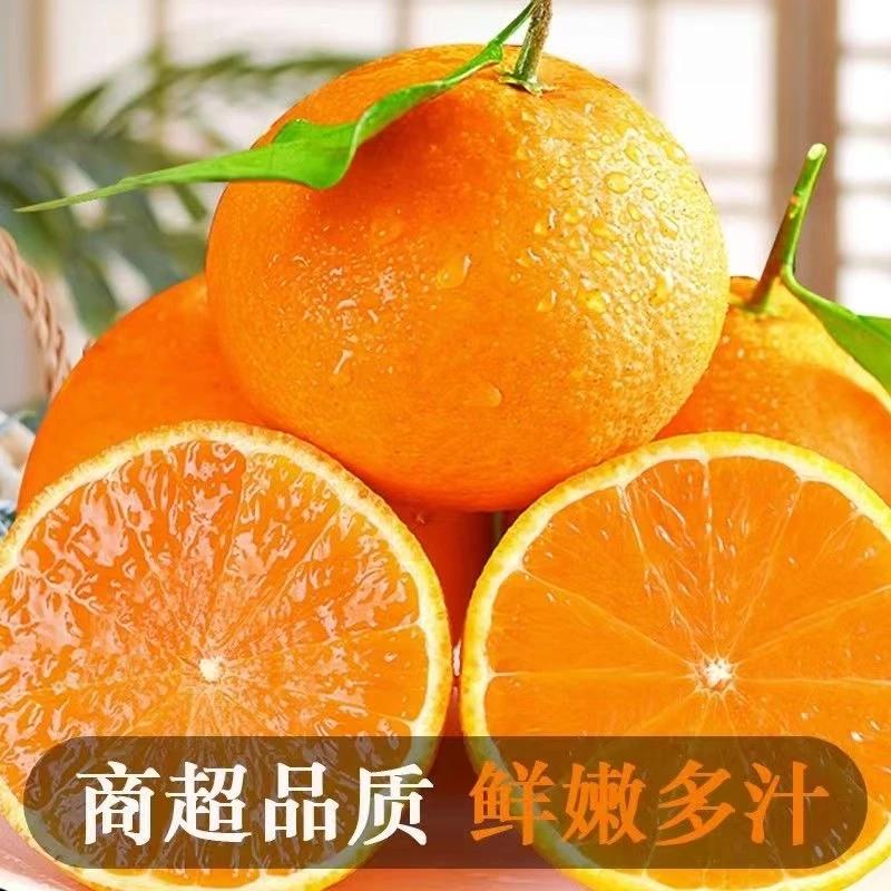 【果园直发】四川爱媛38号果冻橙 现摘现发头茬鲜果 高品质水果香甜