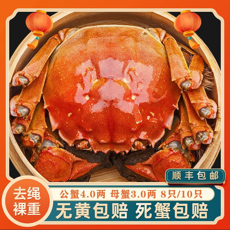 【活蟹现发】4.0公3.0母公母对半 洪泽湖大闸蟹 鲜活直达 顺丰包邮