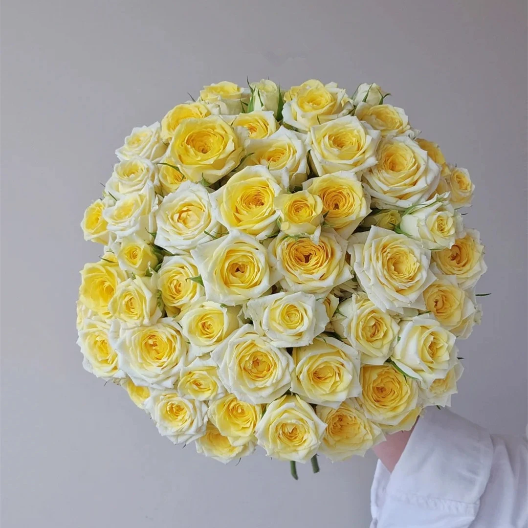 【多头玫 娃娃公主】任意4单鲜花只收运费10元 顺丰或德邦发货