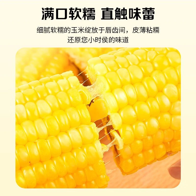 东北黑龙江优质新鲜黑土地种植直发黄糯玉米真空包装黄糯玉米甜糯