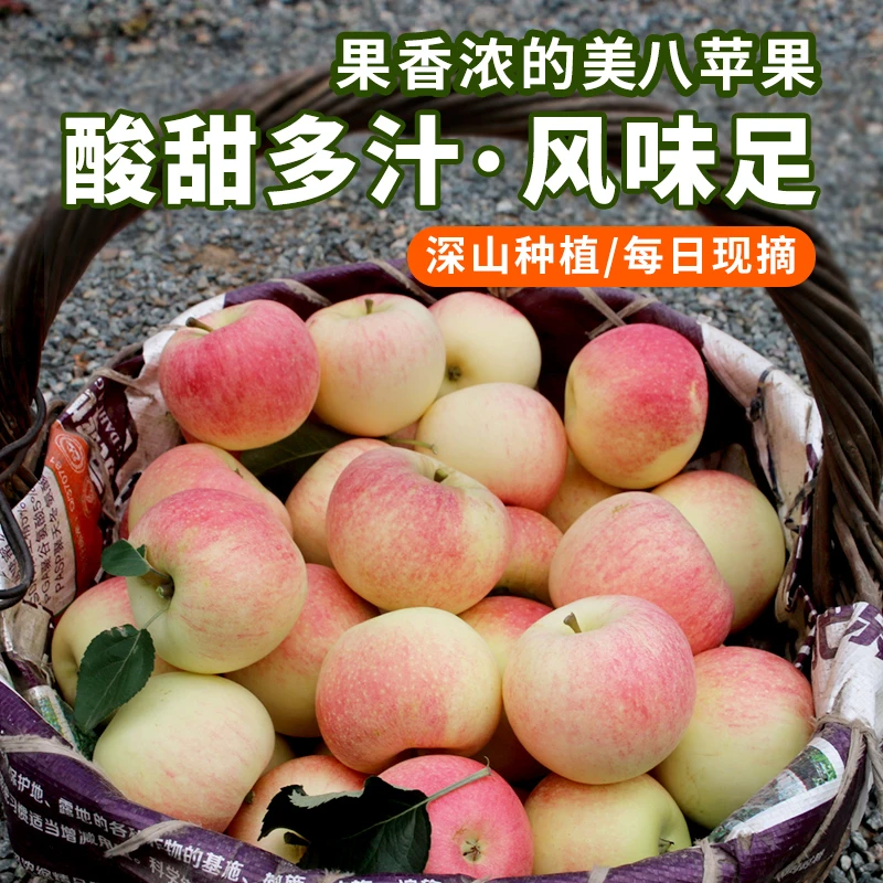 北京山区美八苹果 酸甜 久放后沙面 今年新苹果新鲜时令水果