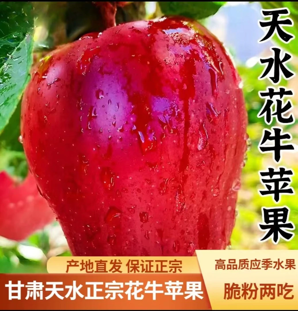 【2024年新果】甘肃高山花牛苹果粉面香甜当季精选果园直发包邮脆甜