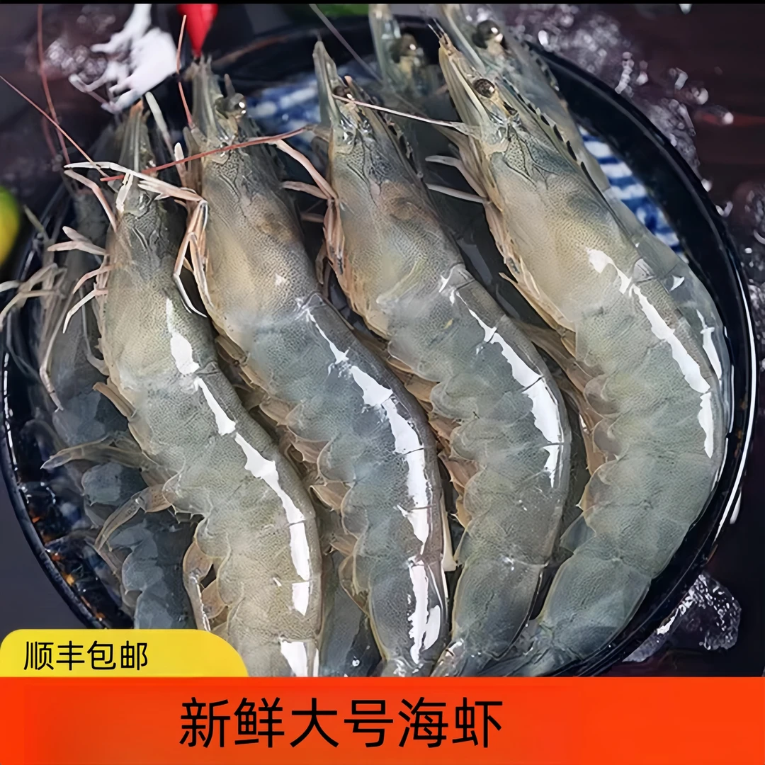 30/40新鲜称重海捕盐冻白虾纯虾净重3.3斤顺丰冷链发货
