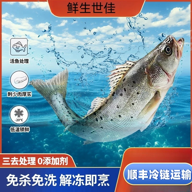 新鲜鲜嫩鲜美美味鲈鱼，一条鱼1斤-1.2斤顺丰发货。