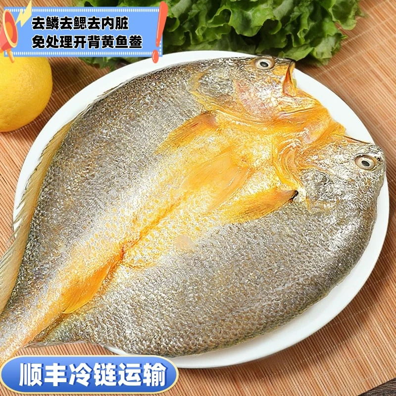 正宗醇香黄鱼鲞每条200到250g鲜鱼三去免处理冷链发货