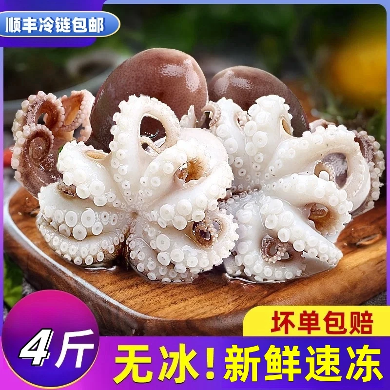 火锅食材迷你短腿八爪鱼/章鱼 1斤10/13个速冻后顺丰冷链运输