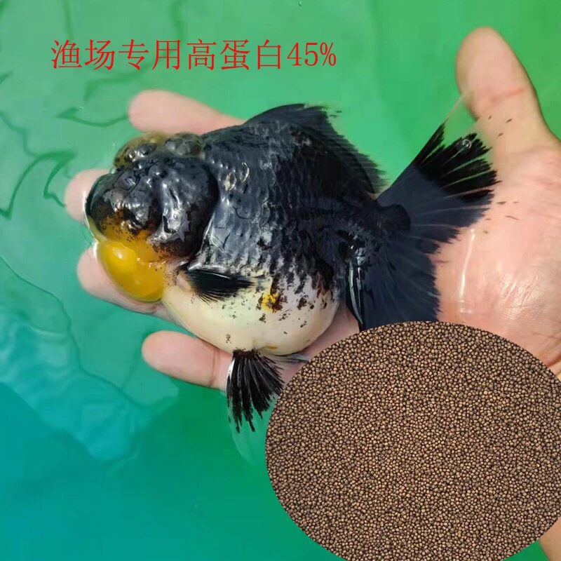 渔场将军泰狮兰寿螺旋藻增色增体胚芽高蛋白下沉金鱼专用饲料食