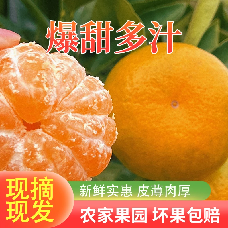 【京东包邮】5斤大果正宗石门柑橘蜜橘橘子桔子蜜桔整箱当季水果果园孕妇水果甜蜜新鲜包邮