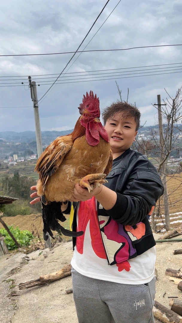 农家散养五谷杂粮土鸡