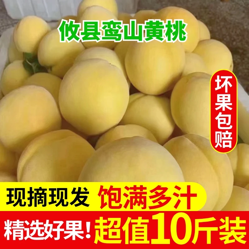 正宗湖南黄桃现摘鸾山黄桃新鲜高山红心黄桃时令水果10斤包邮