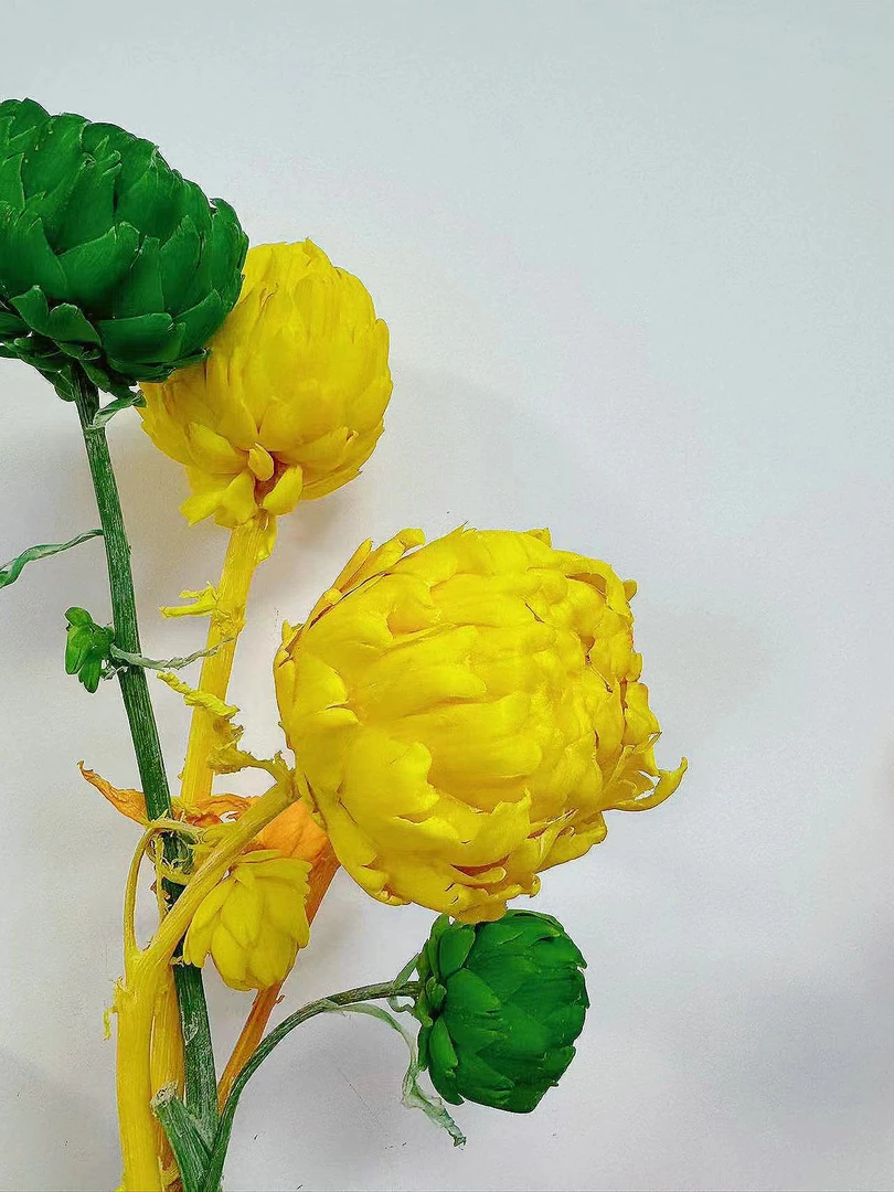 现场单头定制链接《洋蓟》永生花