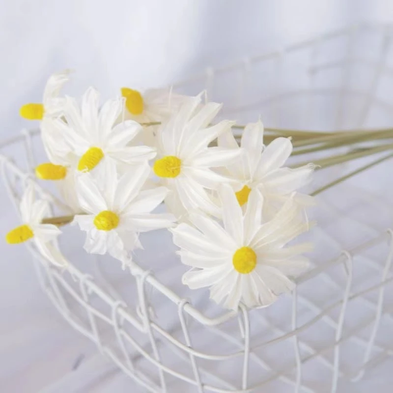 《花园时光专属》文心兰星款紫罗兰真花清新小滨菊制作工艺品装饰