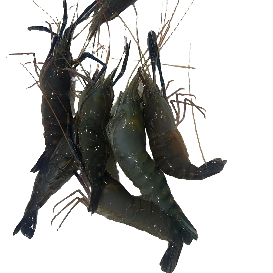 断氧罗氏虾（吉林省内包邮）