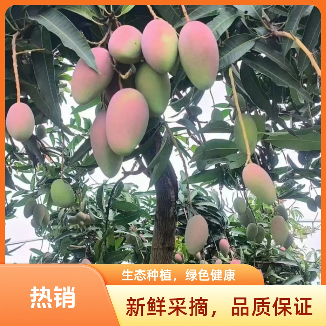小贵妃芒果香甜多汁整箱