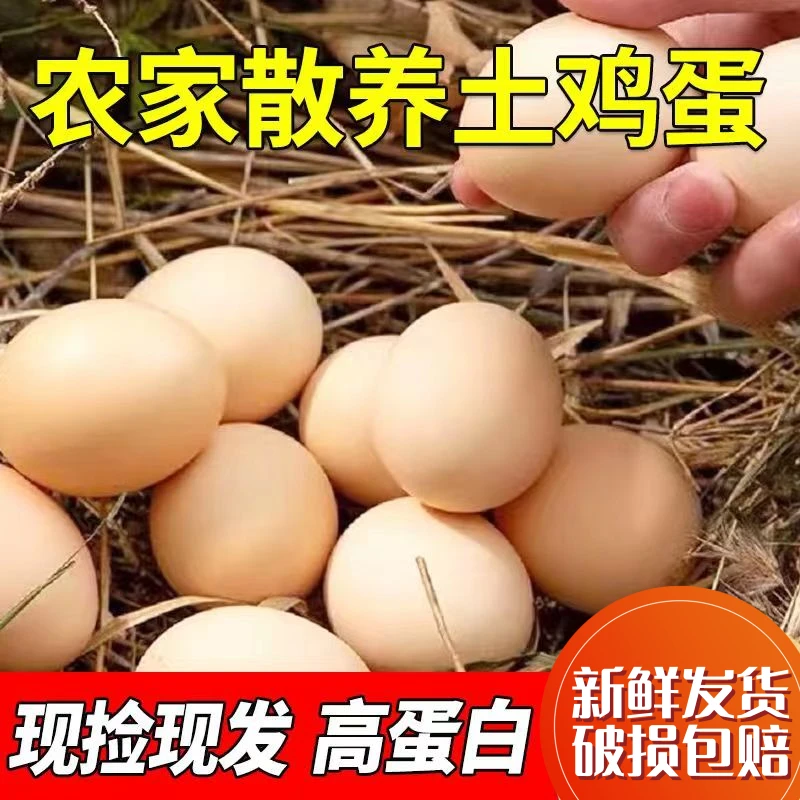 尝鲜装自由土鸡蛋新鲜农家散养营养谷物喂养笨鸡蛋山林散养走地鸡
