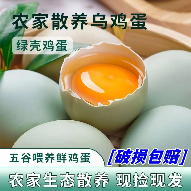 【破损包赔】农家生态散养绿壳乌鸡蛋土鸡蛋五谷喂养新鲜健康绿壳蛋