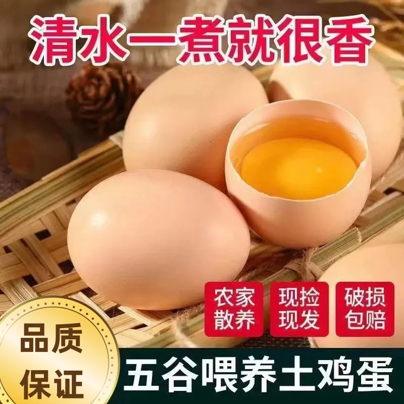 农家散养新鲜现捡现发土鸡蛋初生蛋笨鸡蛋现货先发破损包赔草鸡蛋