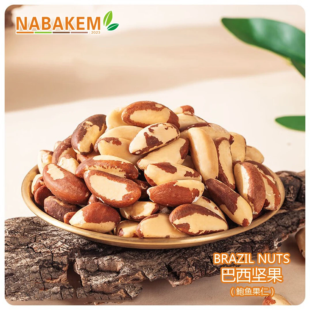 鲍鱼果新货大果500g罐装正宗巴西鲍鱼果仁去壳淡盐非新疆特产干果