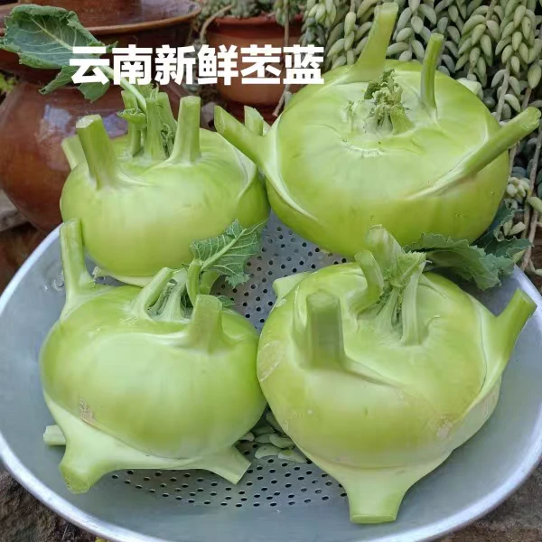 云南新鲜苤蓝大头菜芥菜头农家自种现摘现发露天蔬菜产地直发批发