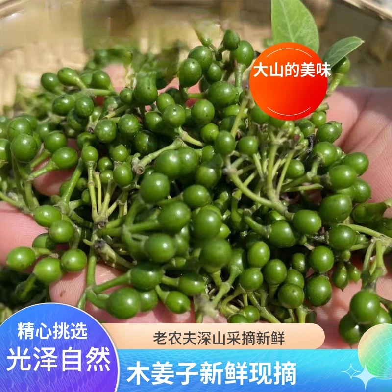 云南建水木姜子新鲜现摘鲜嫩大颗粒山胡椒深山苍子木浆子农家蔬菜