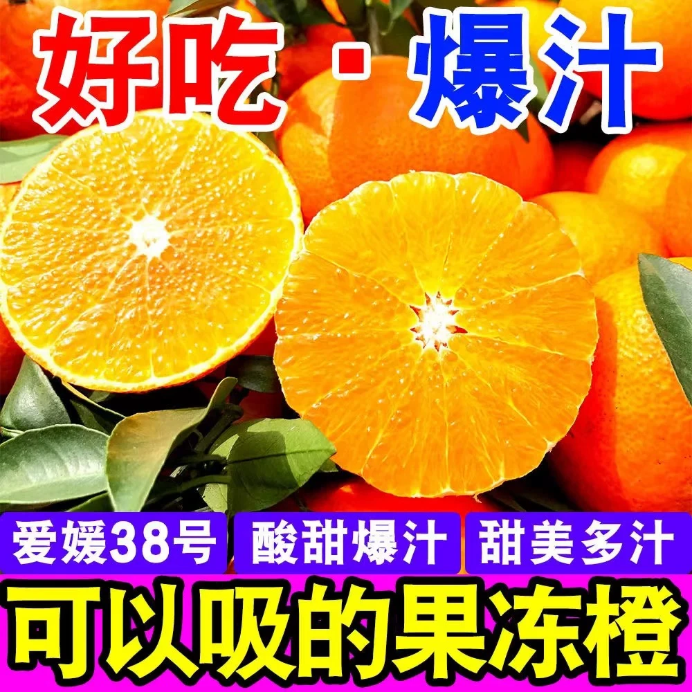云南爱媛38号果冻橙新鲜阳光橙子水果当季现摘果冻橙