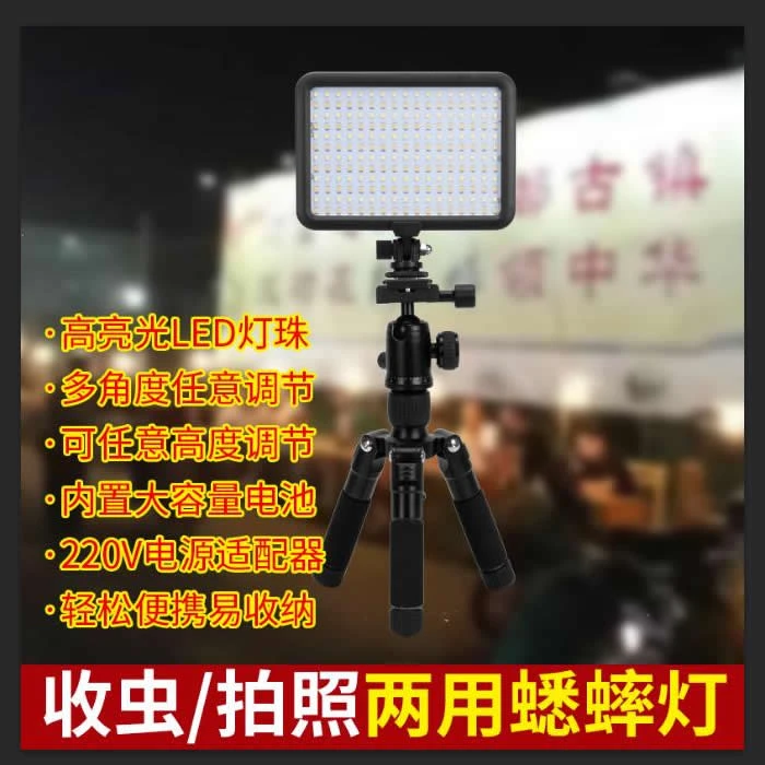 蟋蟀补光灯蛐蛐拍照补光LED灯两用夜市收虫看虫网售鸣虫用品用具