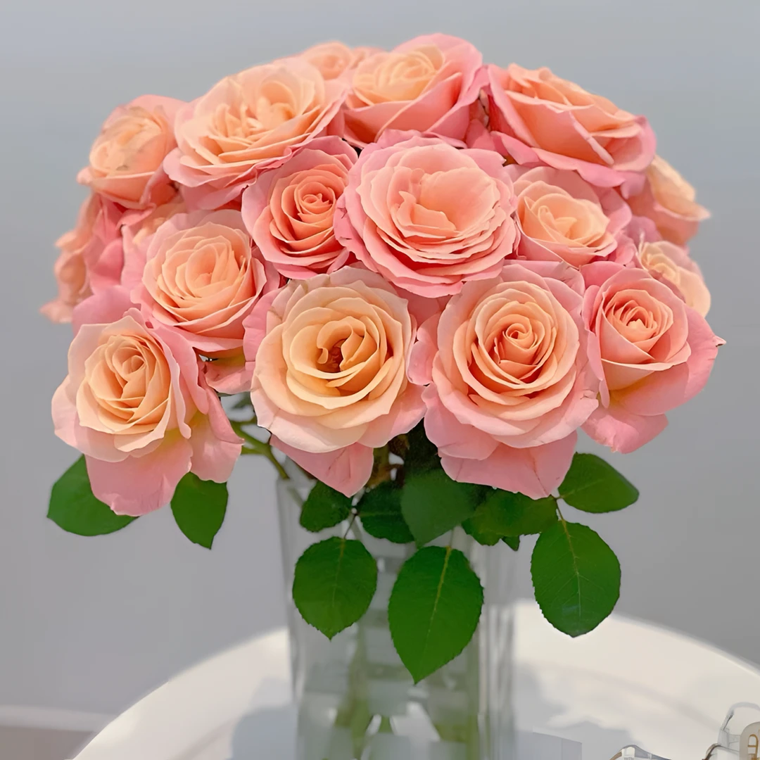 【王安园艺】朱小姐玫瑰鲜花水养家用鲜切花基地优选高品质花卉