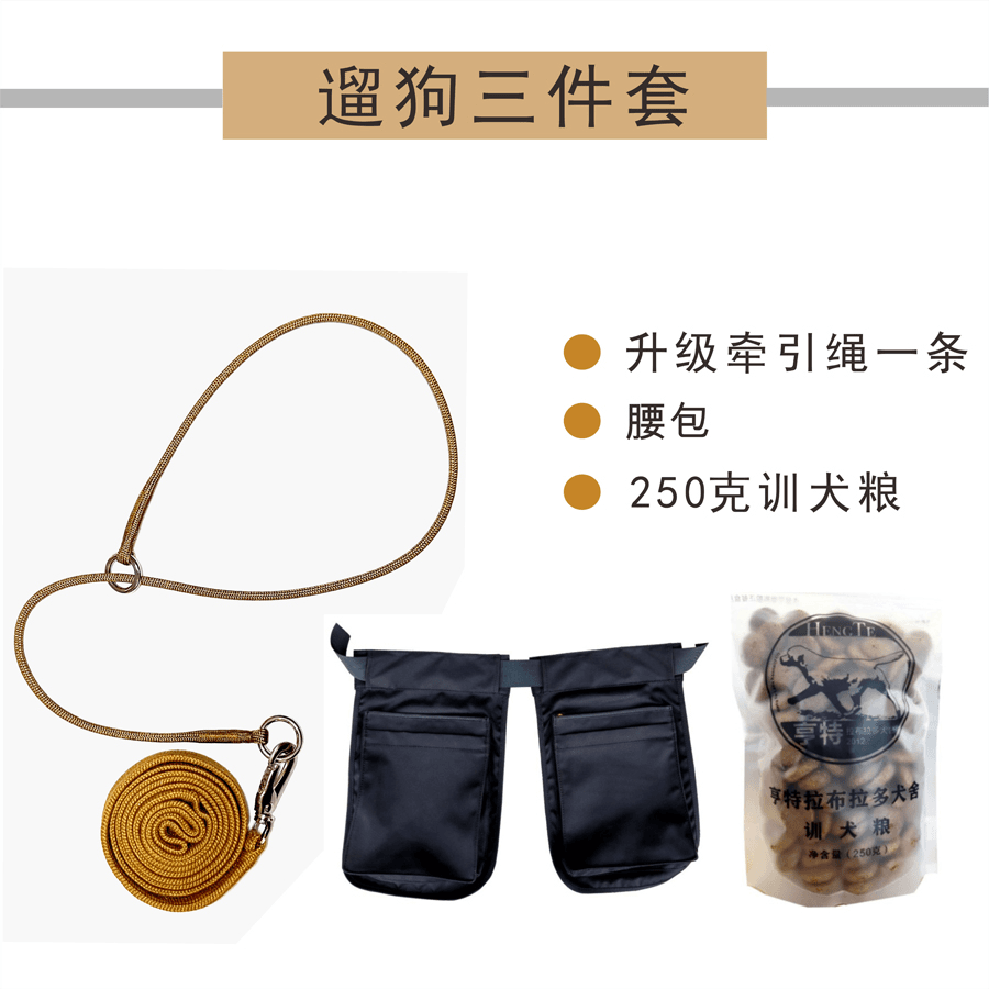 升级牵引绳日常遛狗纠正爆冲比赛用全犬种大小通用（三件套）