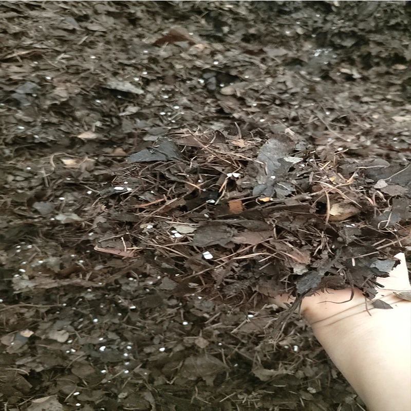 腐熟天然树叶君子兰专用有机腐叶土腐熟纯松针兰花专用营养土