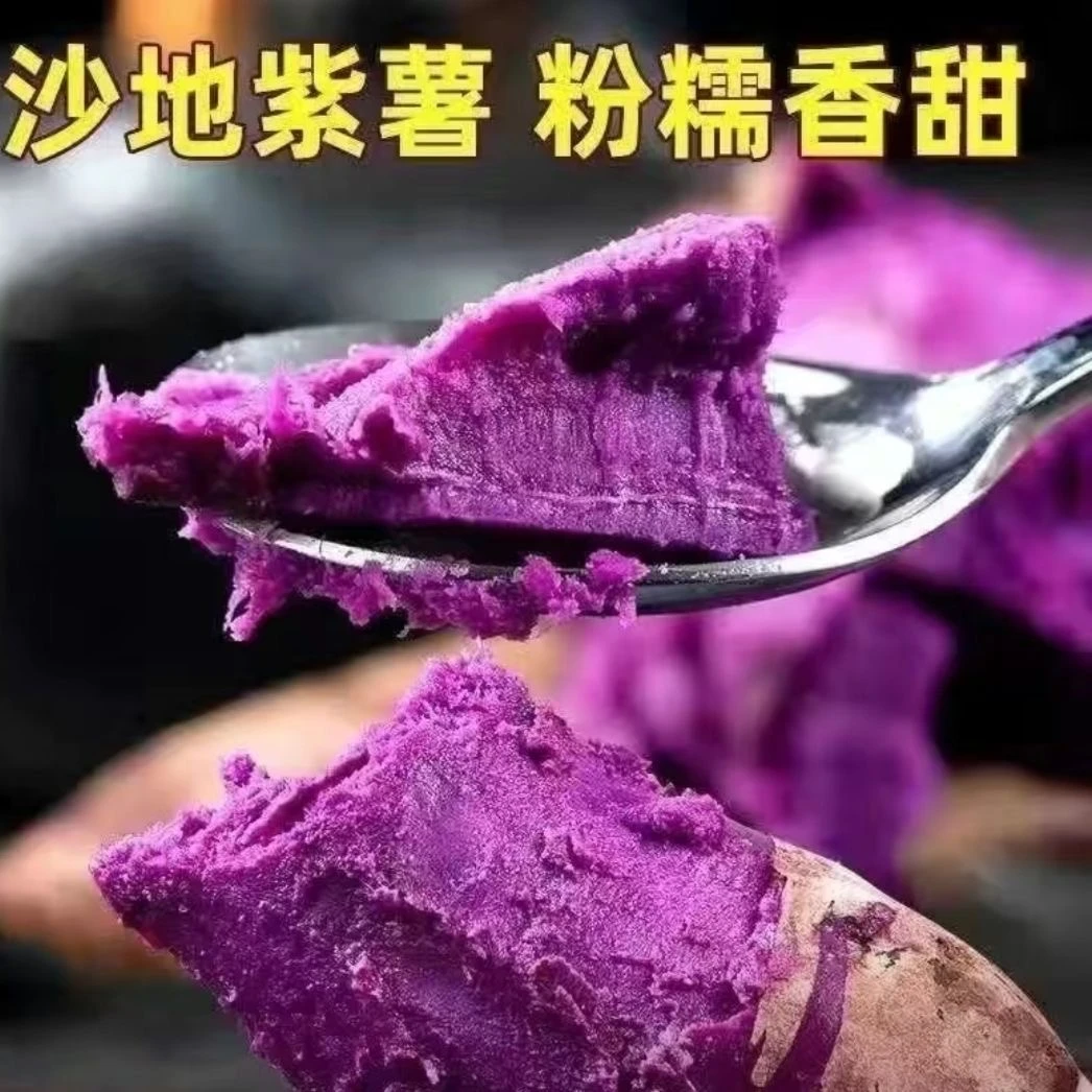 新鲜紫薯沙地种植紫罗兰红薯香甜粉糯地瓜蔬菜