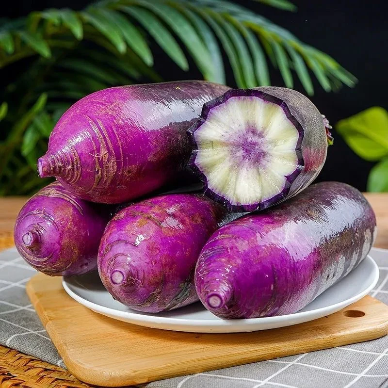 山东潍坊冰激凌萝卜水果萝卜脆甜可口当季新鲜蔬菜4.5斤装