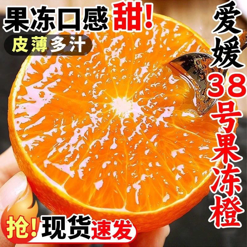 四川爱媛38号果冻橙4.5斤皮薄多汁应季生鲜水果